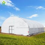 Large Tunnel Plastic Film Single-span Agricultural Nursery Growing Greenhouse