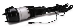 China 1663201313 Air Suspension Parts Air Suspension Strut factory