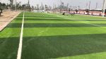Quality Pro Approved Soccer Synthetic Turf Artificial Grass & Sports Flooring