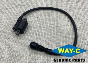 China 45D-H2310-00 Motorcycle Moto Ignition Coil Pack For YAMAHA FZ16 factory