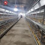 H Type 3 Tiers 4 Tiers Poultry Farm Broiler Cage Equipment for 50000 chickens