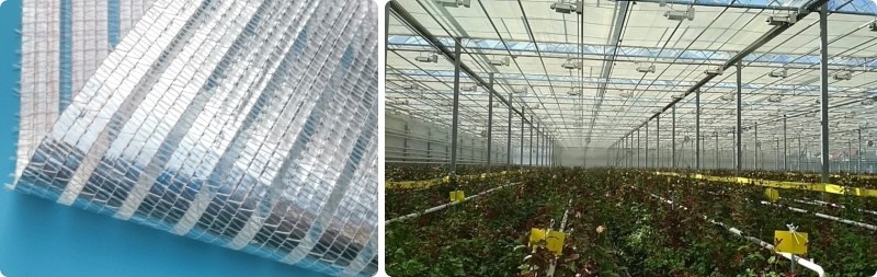 Low Cost Polycarbonate Sheet Greenhouse For Bananas Cucumber Tomatoes Lettuce