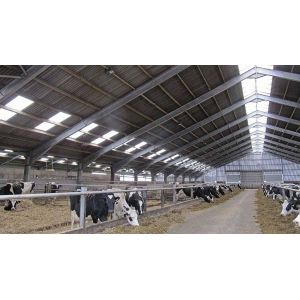 Easy Install Prefab Barns And Sheds , Metal Cattle Shed Construction