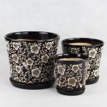 Beauty And Functionality Of Ceramic Pots For Any Plant Shop Small Size