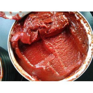 Highly Rated Canned Tomato Concentrate with HACCP Certification in Tins