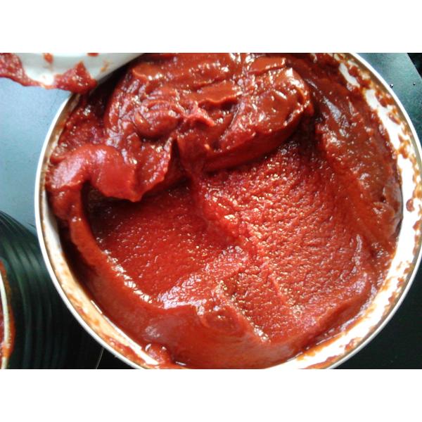 China Highly Rated Canned Tomato Concentrate with HACCP Certification in Tins factory