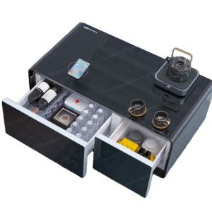 Living Primst Mini Coffee Table with Built-In Refrigerator and Wireless Charging