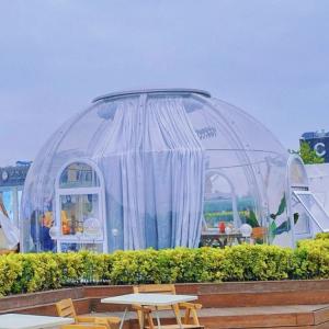 China 5m Patrick Star Bubble House factory
