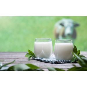 Food Additive DMG95 Emulsifiers And Stabilizers Prevent Possible Stratification