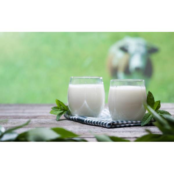 Food Additive DMG95 Emulsifiers And Stabilizers Prevent Possible Stratification