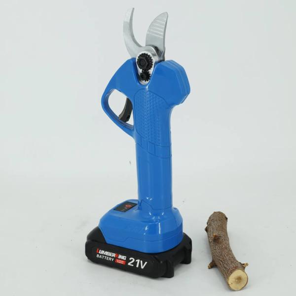 High Quality Garden Apple Tree Hand Rechargeable Battery Codlress Electric