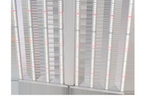 China ETL 4000lm 600 Watt LED Grow Lights For Marijuana factory