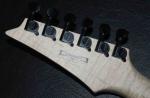 Custom Shop Flower Ibanezs style Electric Guitar free shipping