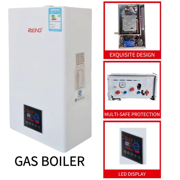 Made In China Factory Europe Popular Wall Hung Hot Water Heater Ng /Lpg Gas Dual