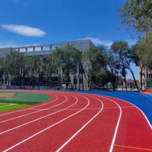 China Quick-Install Eco-Friendly Innovative Semi-Prefabricated Athletic Track WA &amp; SGS Certificated factory