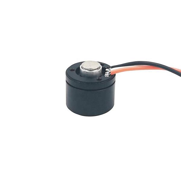 Faradyi Factory Price Micro Size 12V 24V 36V 48V Brushless Dc Frameless Motor