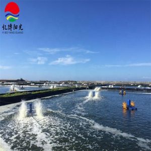 HDPE Geomembrane for Waterproof Projects and Oily Wastewater Treatment in