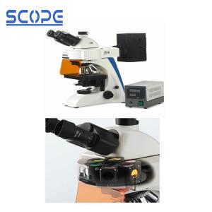 China Infinity Optical Trinocular Biological Microscope , Trinocular Compound Microscope factory