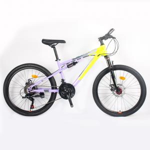 China Wholesale 21 Speed Customized Cheap Adult Mountain Bike 24/27.5 Inch Bicycle factory
