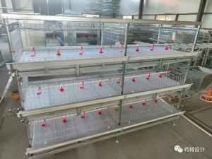 China Durable Galvanized Multi Poultry Broiler Cage Large Capacity factory
