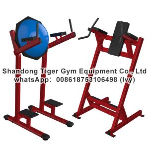 China Gym Fitness Equipment Chin /Dip /Leg Raise exercise machine factory