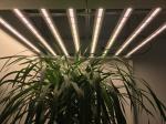 680W ETL approval UV LED Grow Lights bar with full spectrum for medical plants