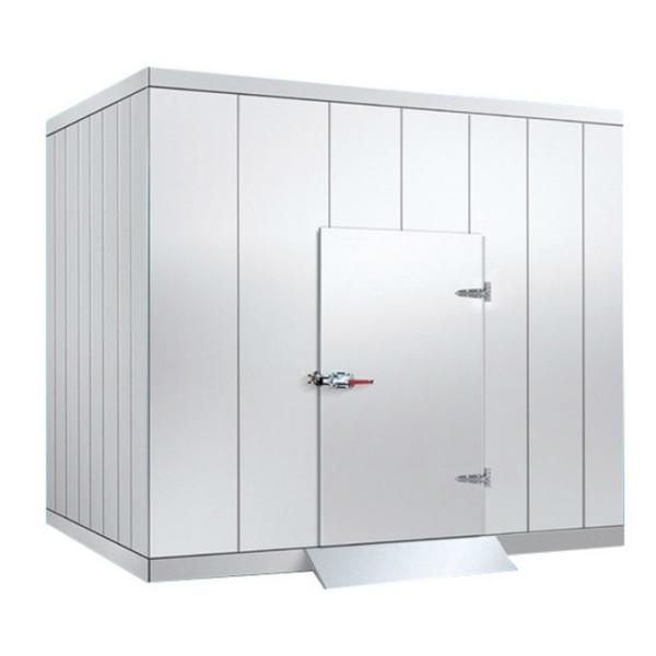 China Density Of Panel 150kg/m3 Freezer Cold Room with Digital Temperature Controller Customization Door Size factory