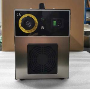 China 110 Volt Household Ozone Generator 20G Stainless Steel Material factory