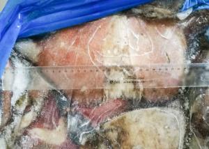 China BQF Equator Squid Fin Huge Big Size 300g Below Size Block Shape factory