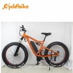 48 V 1000w Mid Drive Motor Fat Tire Powerful Electric Bike For Ladies , No