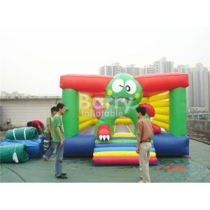 Party inflatable bounce house ，bouncy house with authority certification