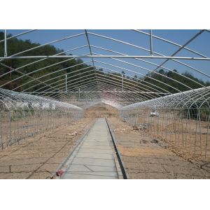Poly No Welding Hydroponic Greenhouse Systems With Hydroponics Growing System