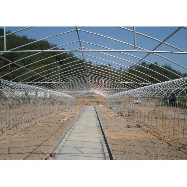 China Poly No Welding Hydroponic Greenhouse Systems With Hydroponics Growing System factory