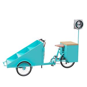China Mobile Scooter Vending Cart Folding Shelf For Flower / Fruits / Snacks factory