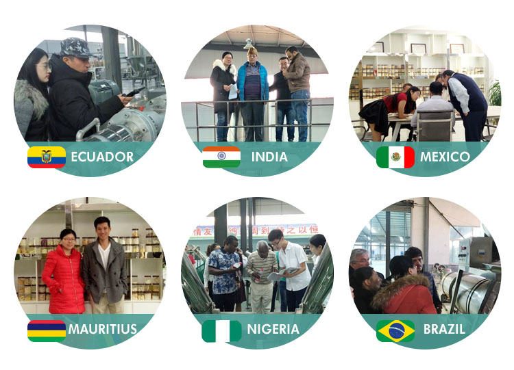 Small Farm Production Line Using Multifunctional Dry Food Dog Pet Food Equipment