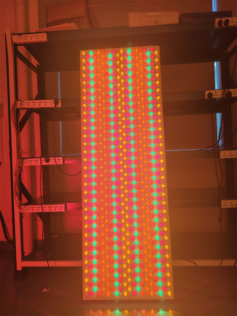 6000w 9-wavelength 535 590 610 630 660 810 830 850 1060Nm Led Light Panel for Full Body