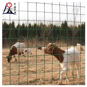 China Pvc Coated Welded Wire Mesh Garden Fence Galvanized Steel Welded Mesh factory