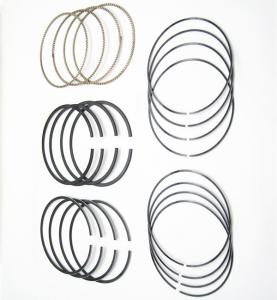 China For LEYLAND 0.35 0 Piston Rings Oil Control Rings Serial OD-LE06 factory