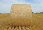 Hdpe Bale Net Wrap