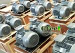 3 Phase AC Free Energy 1MW 2MW 3MW 5MW Low Speed Permanent Magnet Motor