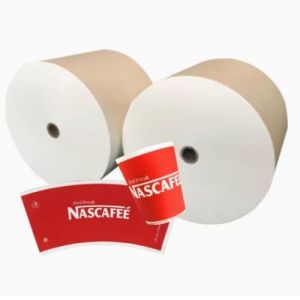 China Waterproof Single Double PLA Coated Paper Cup Roll Custom Size High Bulk For Hot Cold Beverage Cups factory