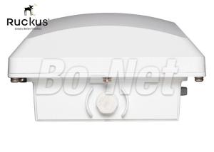 China 1 Year Warranty Cisco Outdoor Wireless Access Point Ruckus 512 Concurrent Users factory