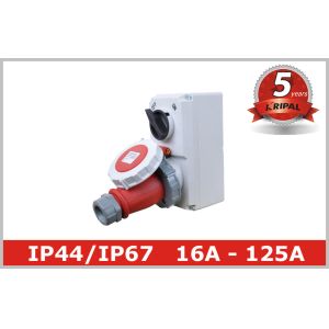 China Compact Industrial Power Socket 16A for Electrical Power Distribution on sale
