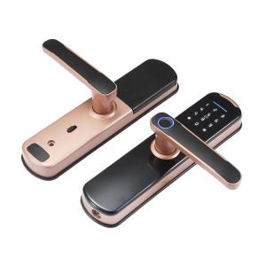 China Electronic Password Smart Fingerprint Door Lock wifi bluetooth Network factory