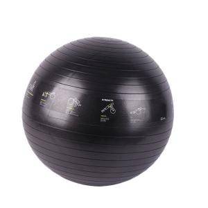 China 65 Cm Stability PVC Yoga Ball Waterproof Anti Slipping Ecofriendly factory