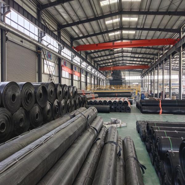 0.5mm HDPE Geomembranes The Ultimate Solution for Aquaculture Fish Shrimp Pond Liners