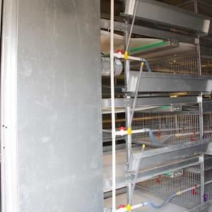 China High Efficiency Baby Chick Cage Large Capacity Easy To Clean ISO9001 Approval factory