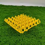 Industrial Egg Tray For Agriculture Market Customizable Design