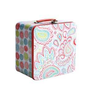 Factory Price Rectangle Shaped Suitcase Tin Box with Handle Custom Metal Lunch