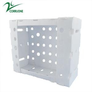 China Corflute PP Seafood Delivery Box Blue Coroplast Storage Boxes factory